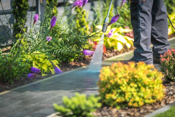 Best Restaurant Pressure Washing  in Adel, GA